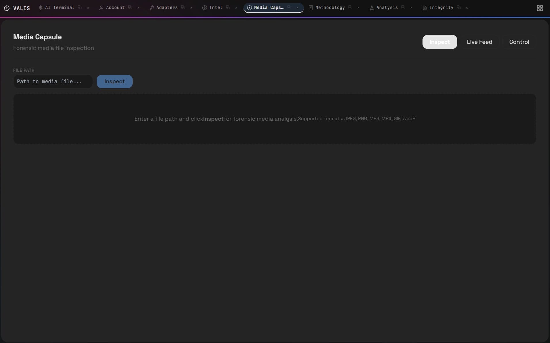 Media Capsule — forensic media file inspection (JPEG, PNG, MP3, MP4, GIF, WebP)